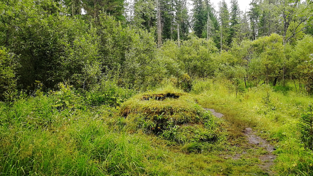 Большая Таловская чаша (Фото: AWolko (Bearna Team))