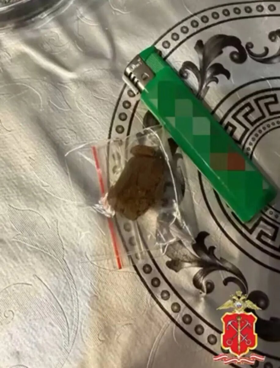    Фото: скриншот пресс-службы ГУ МВД по Петербургу и Ленобласти