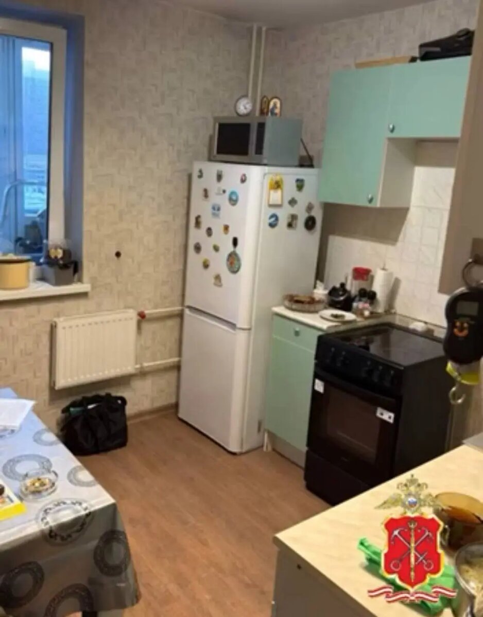    Фото: скриншот пресс-службы ГУ МВД по Петербургу и Ленобласти