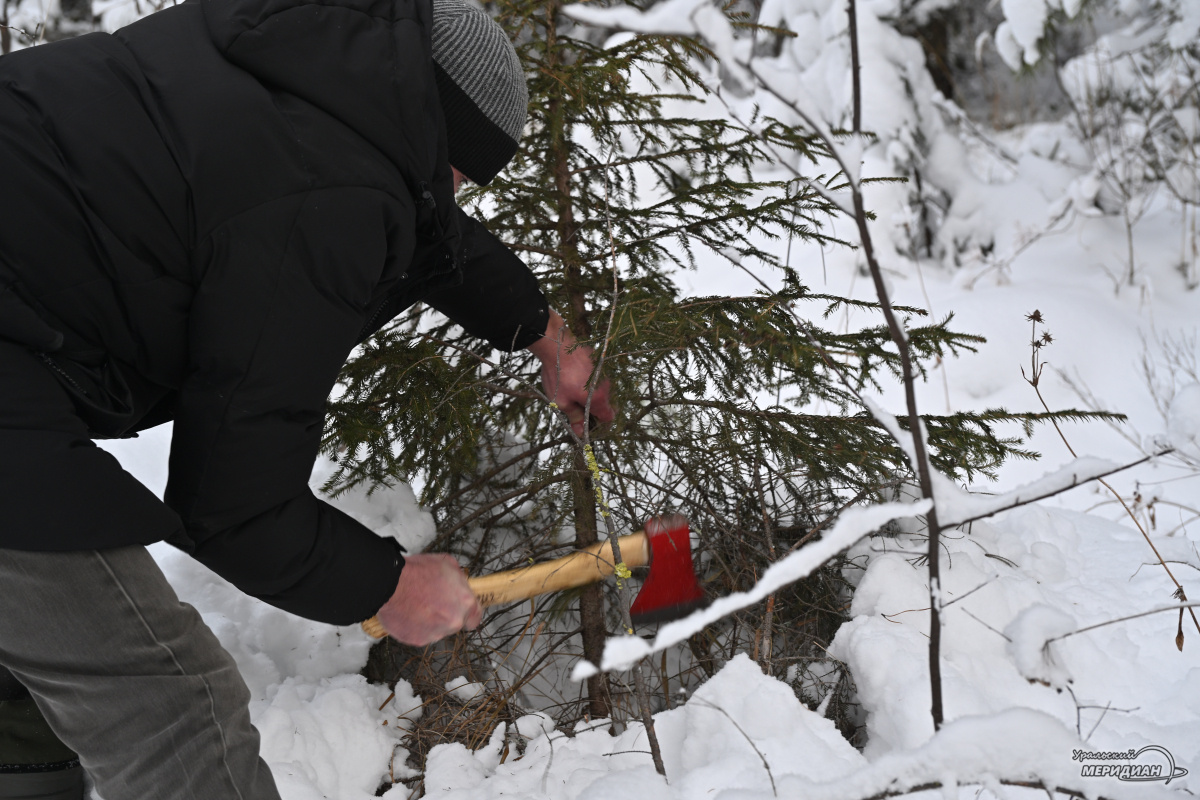    Фото: Анастасия Сибирякова © ИА «Уральский меридиан»