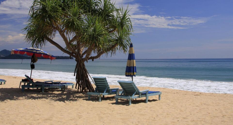    Andreas Rose/http://imagebroker.com/#/search/ / www.globallookpress.com