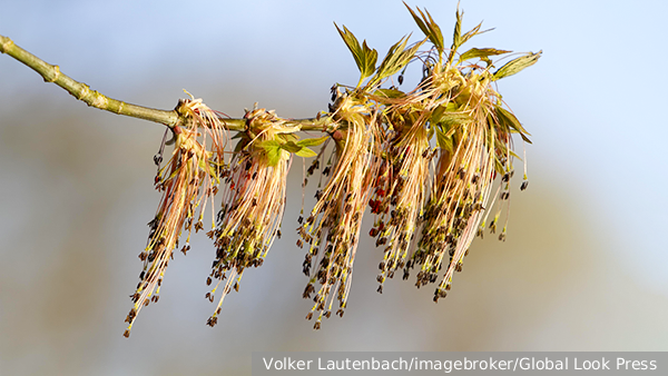     Фото: Volker Lautenbach/imagebroker/Global Look Press   
 Текст: Мария Иванова