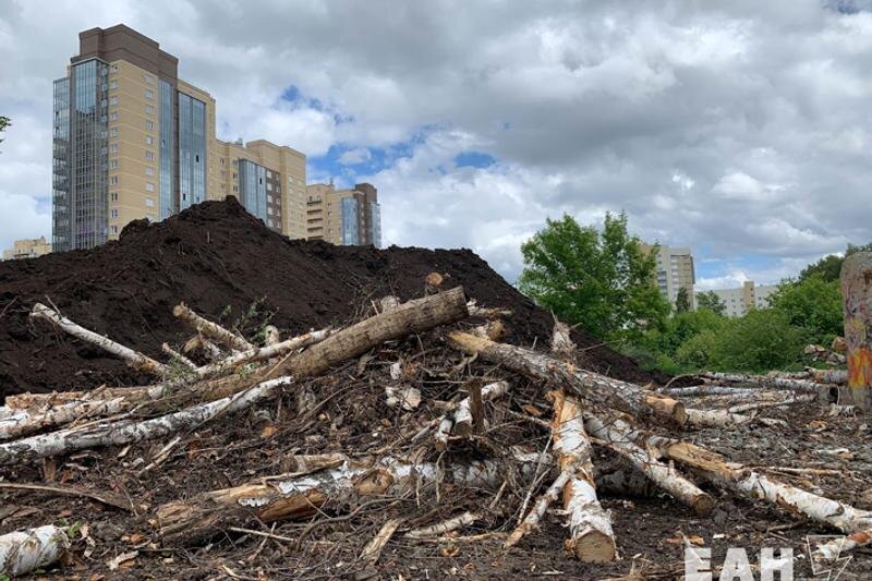    Срубленные деревья