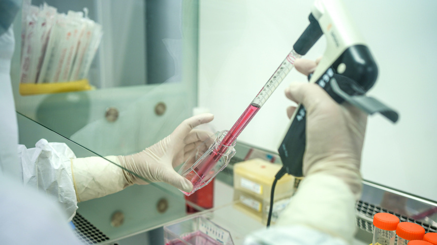    Фото: ИЗВЕСТИЯ/Анна Селина