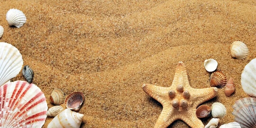 «Все включено» на черноморских курортах в межсезонье – в два раза дешевле, чем летом