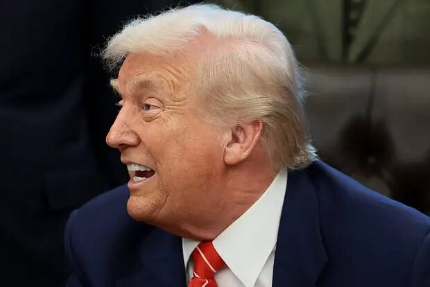    Фото: lenta.ru Диана Петровская