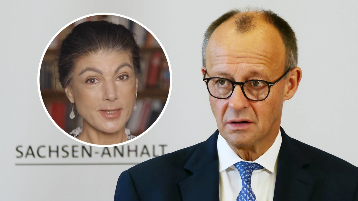 Фото: соцсети Сары Вагенкнехт / IMAGO/Steffen Schellhorn/globallookpress.com