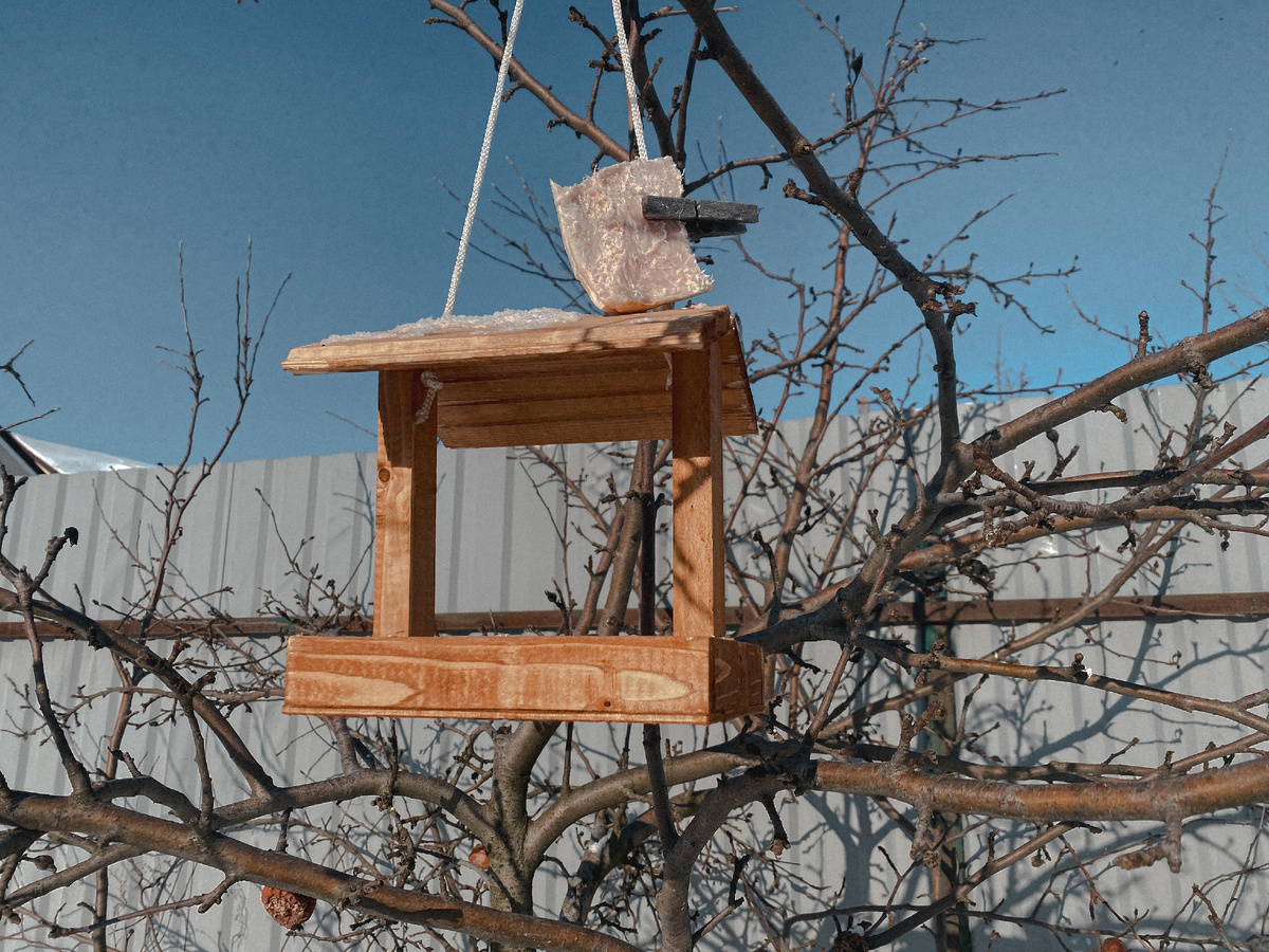 Фото из архива автора