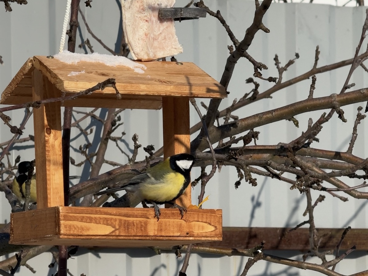 Фото из архива автора