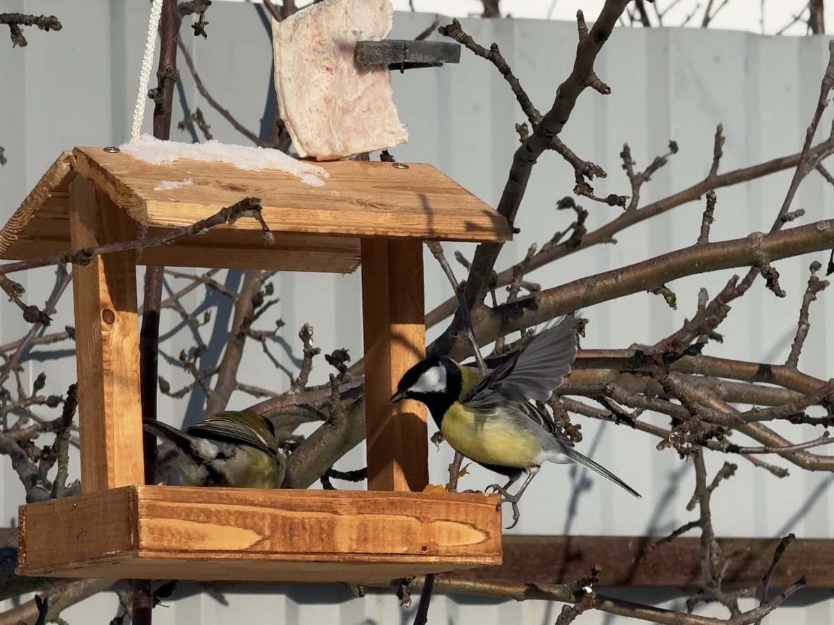 Фото из архива автора