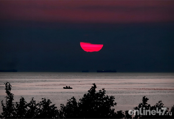 фото: Валентин Илюшин/Online47