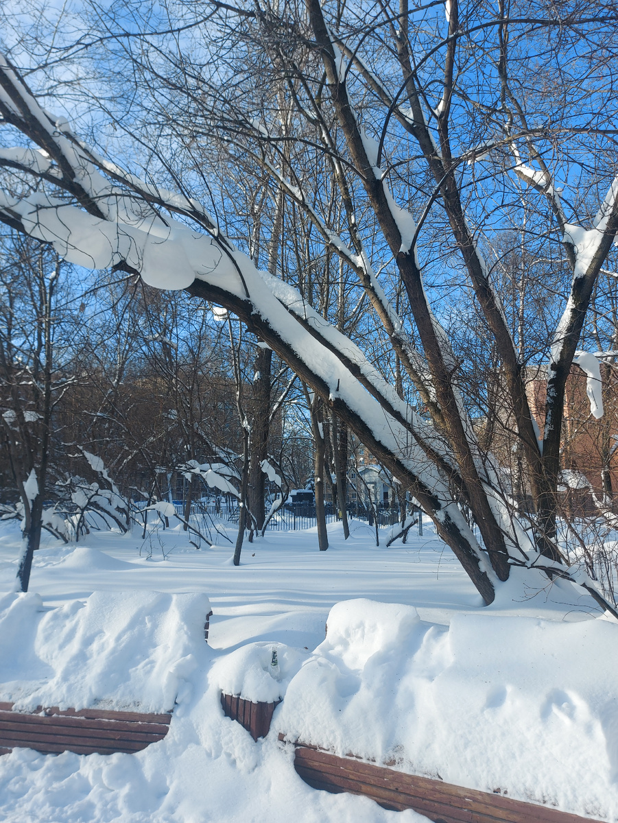 Парк около нашего дома. Летом эти лавочки - спальная территория бомжей. Я сама на них никогда не сижу, брезгаю. Потому что эпидемию туберкулёза никто не отменял. Издержки большого города 🤷‍♀️