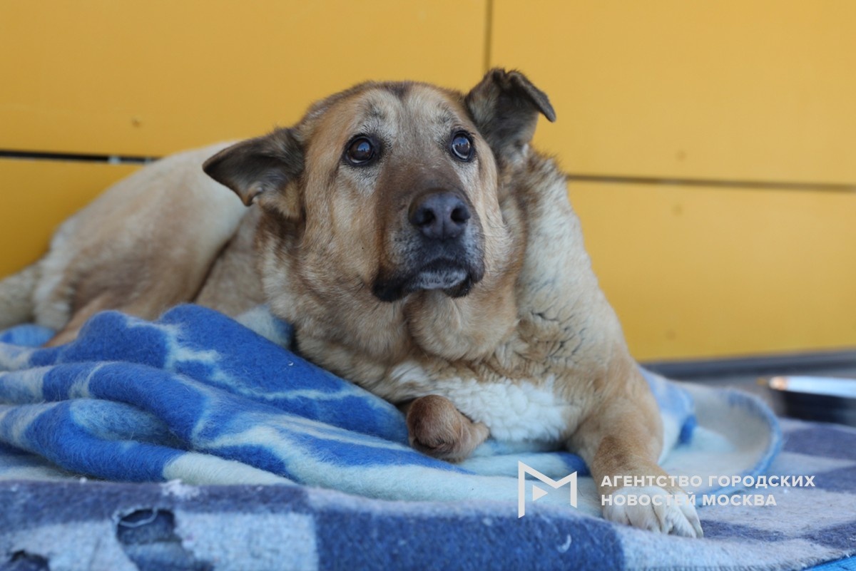 Фотограф: Кирилл Зыков