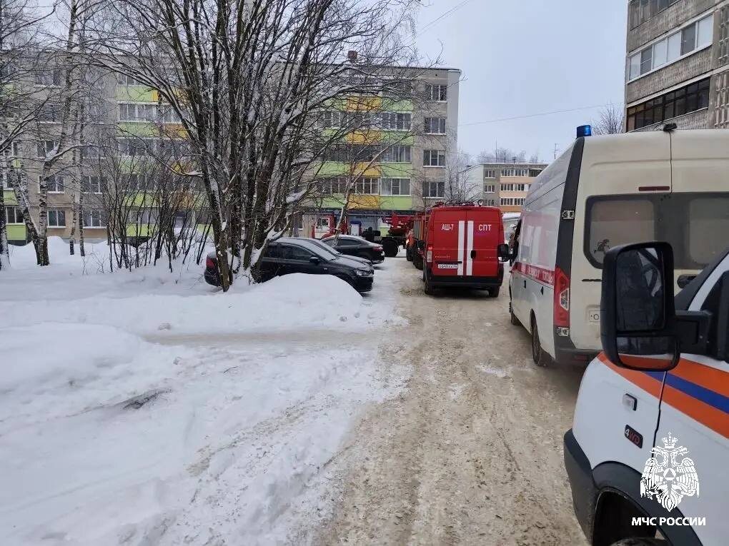    ФОТО: МЧС Костромской области