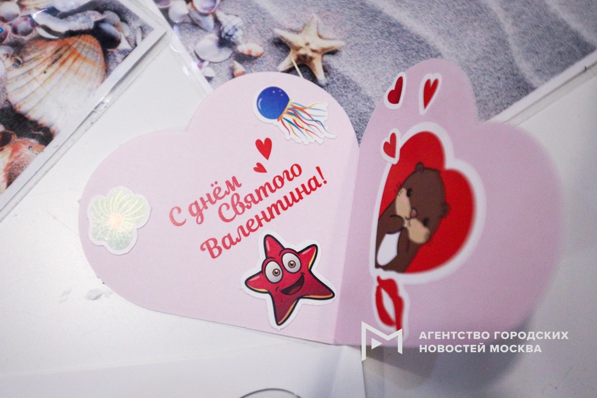 Фотограф: Кирилл Зыков