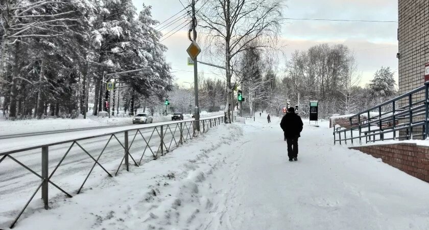    Фото progorod43.ru