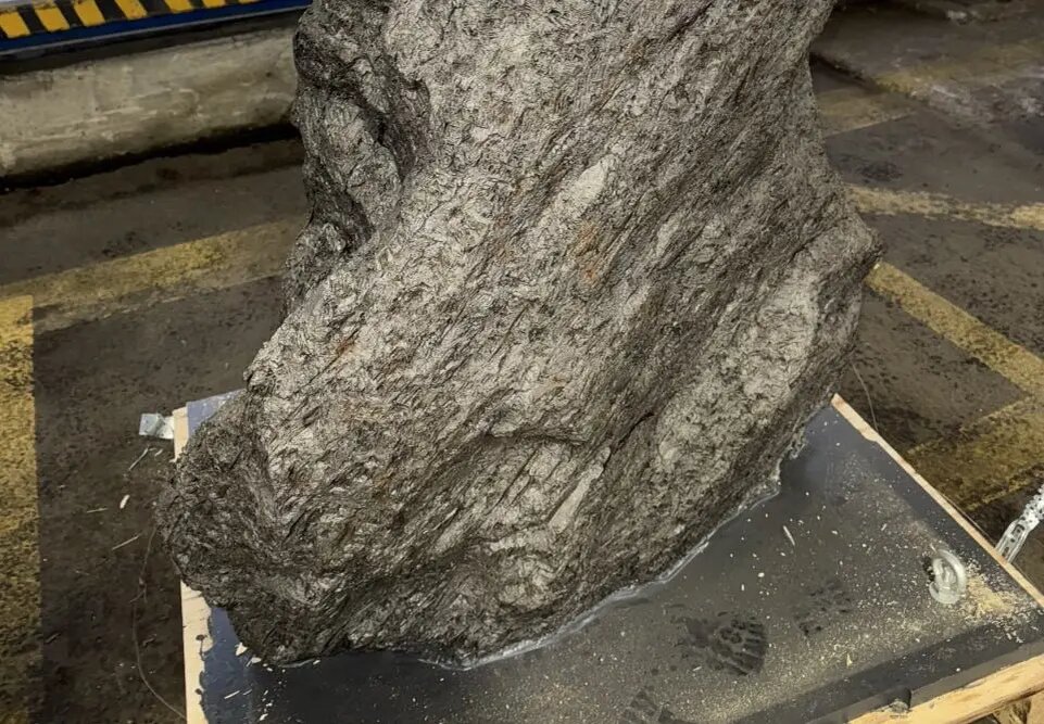     © Пресс-служба ФТС России