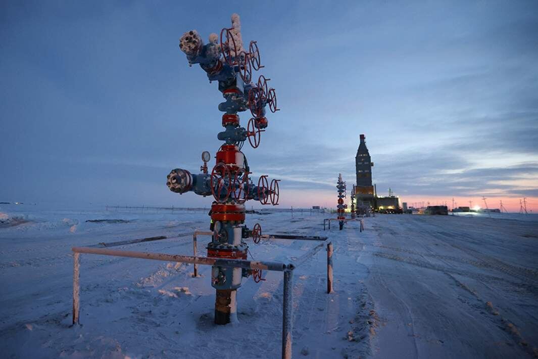 Фото: ТАСС/Станислав Красильников