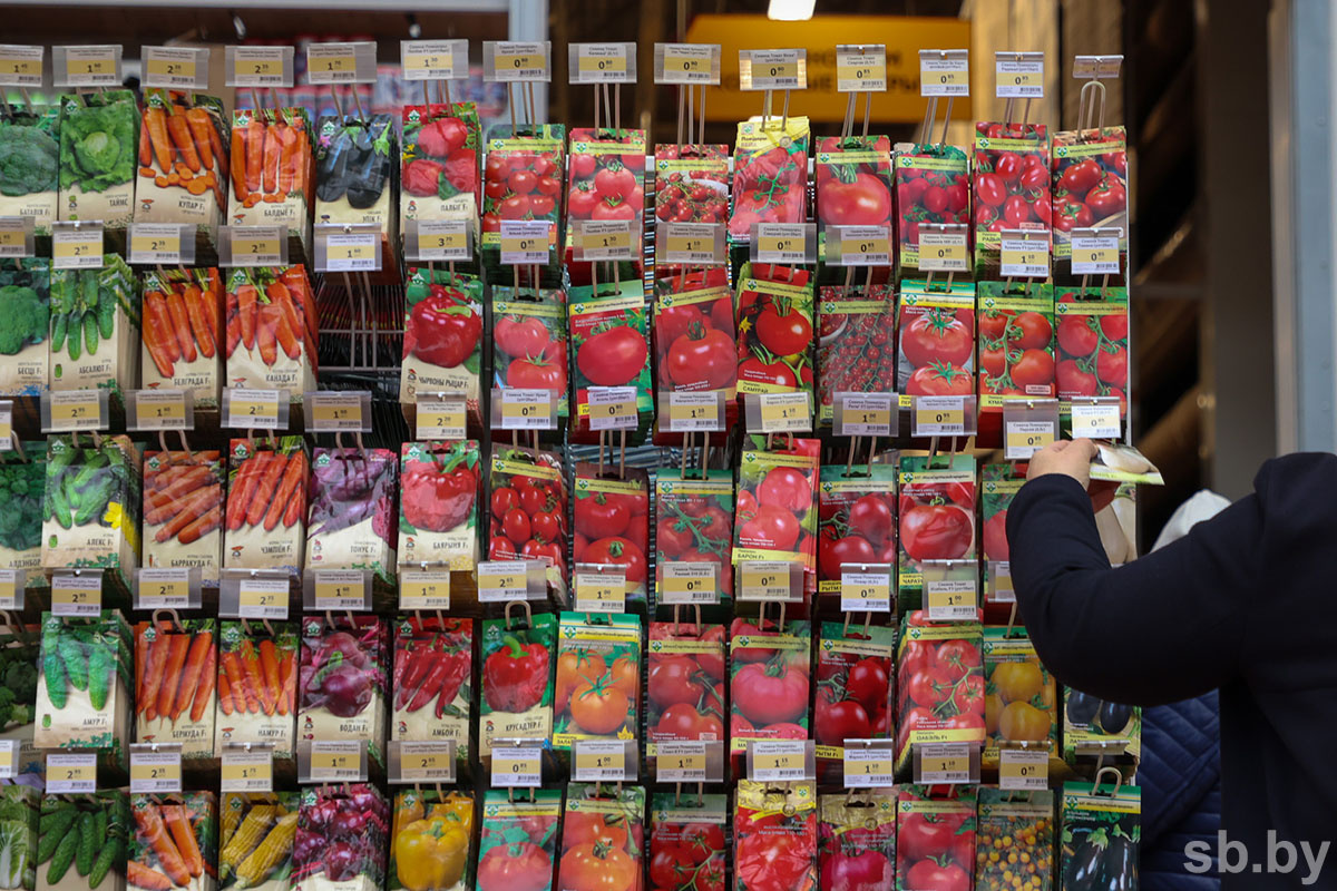 Иллюстративное фото из архива «СБ»