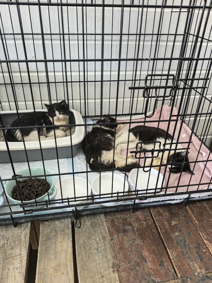 Трое их спасённых шестерых. Отсыпаются, отогреваются, отъедаются