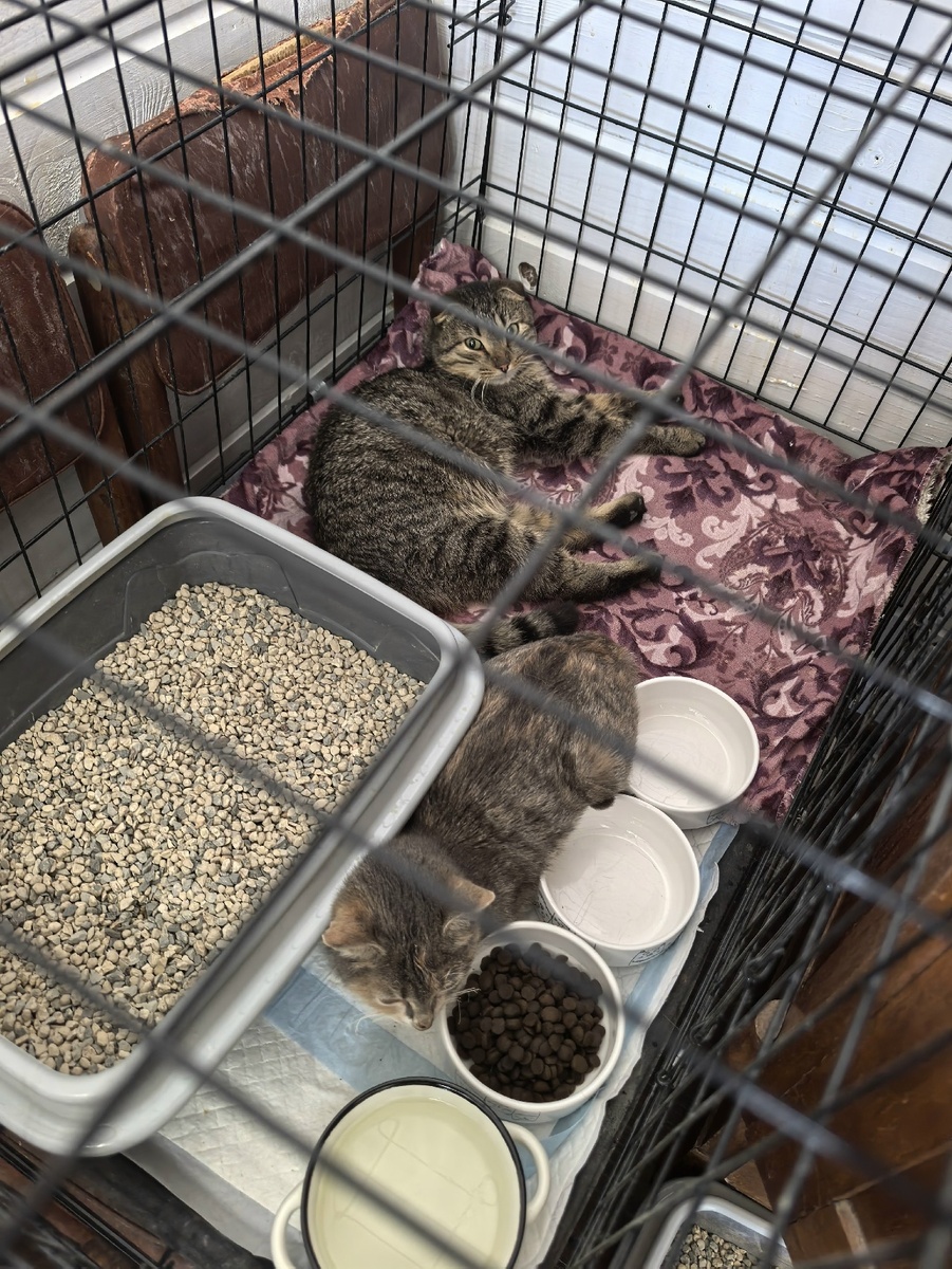 А эти двое постарше