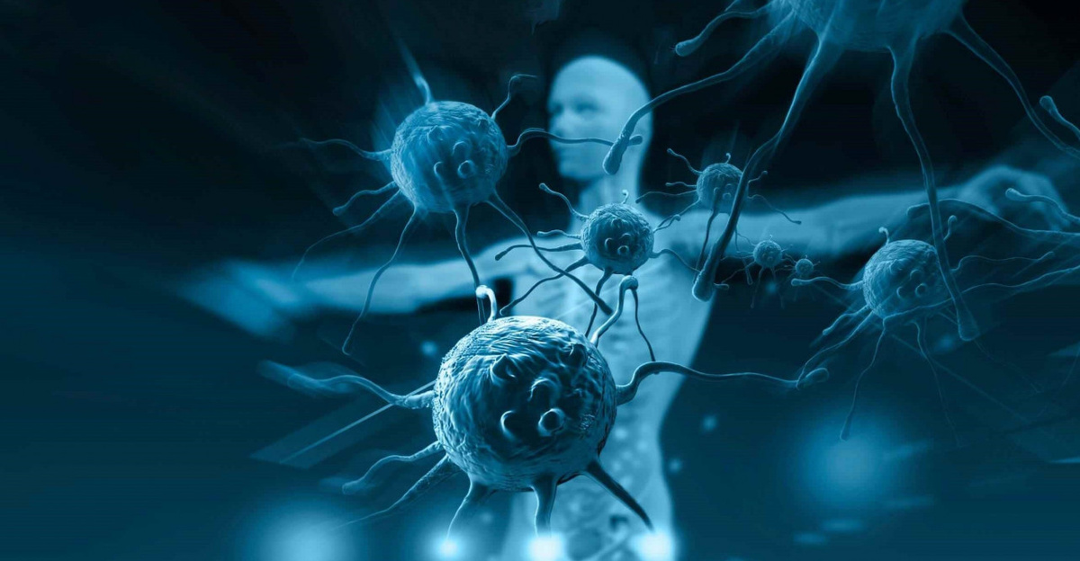 Фото https://www.medgorod.ru/sites/default/files/styles/gallery-slider/public/news_image/1530717891_ims01.jpg?itok=7YhbaHHO