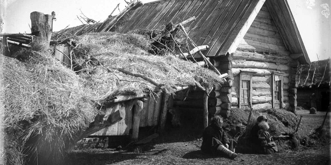 БЕЛЫЙ КОВЫЛЬ...