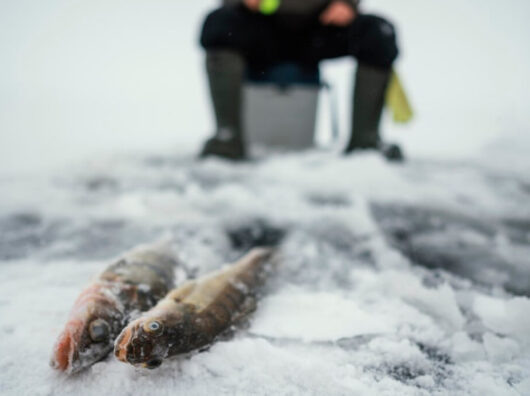    Мороз // Фото: Freepik