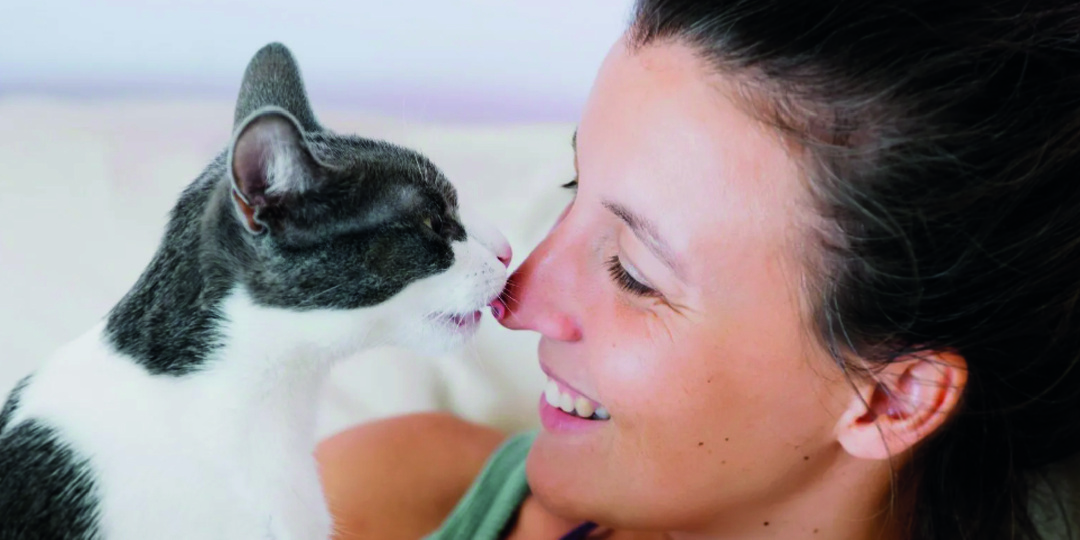 Что значит, если кошка облизывает хозяина? Почему она лижет лицо или руки человека и как на это реагировать