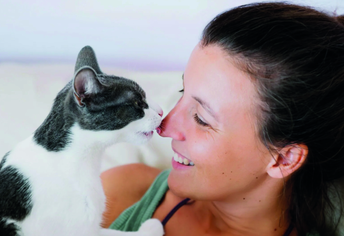 Кошка облизывает нос человека. Фото - Getty Images.