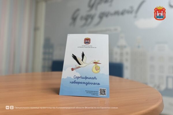    Фото: Правительство Калининградской области. vk.com