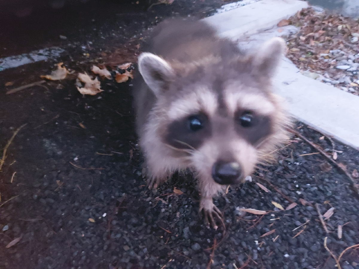 Фото: "Вечерний Ставрополь"