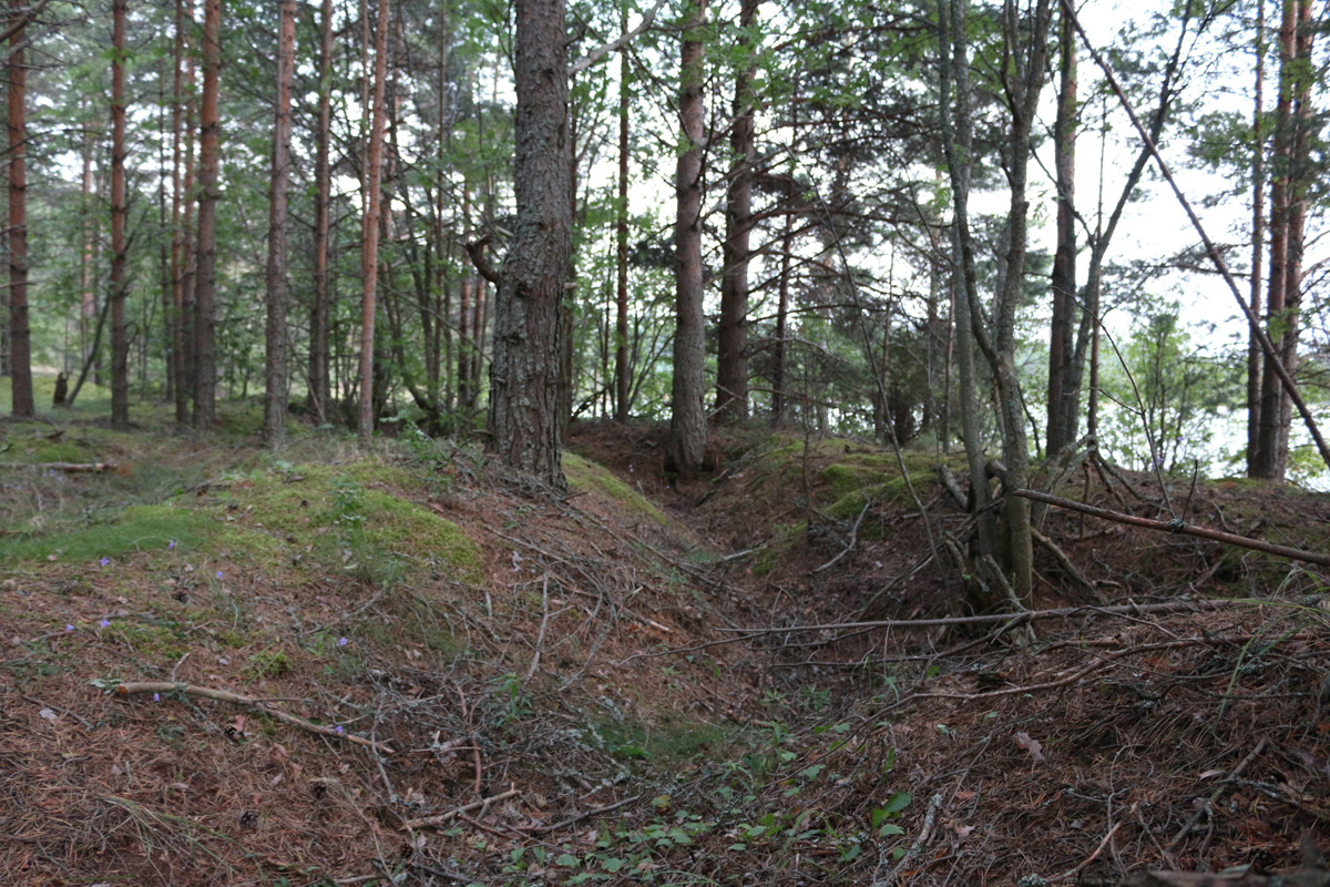 Остатки окопов. Взято с сайта vrorgo.ru