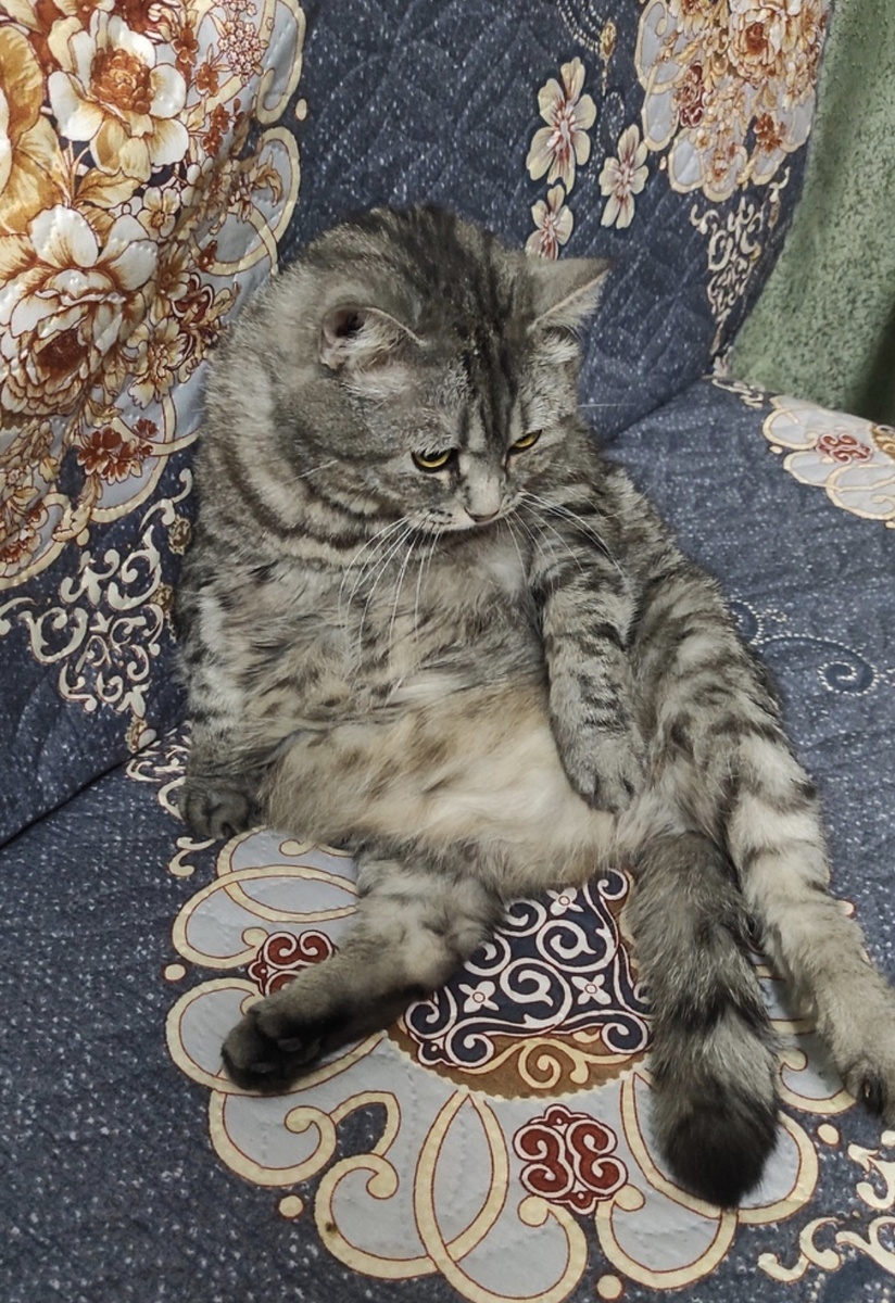 По-прежнему любимая поза.