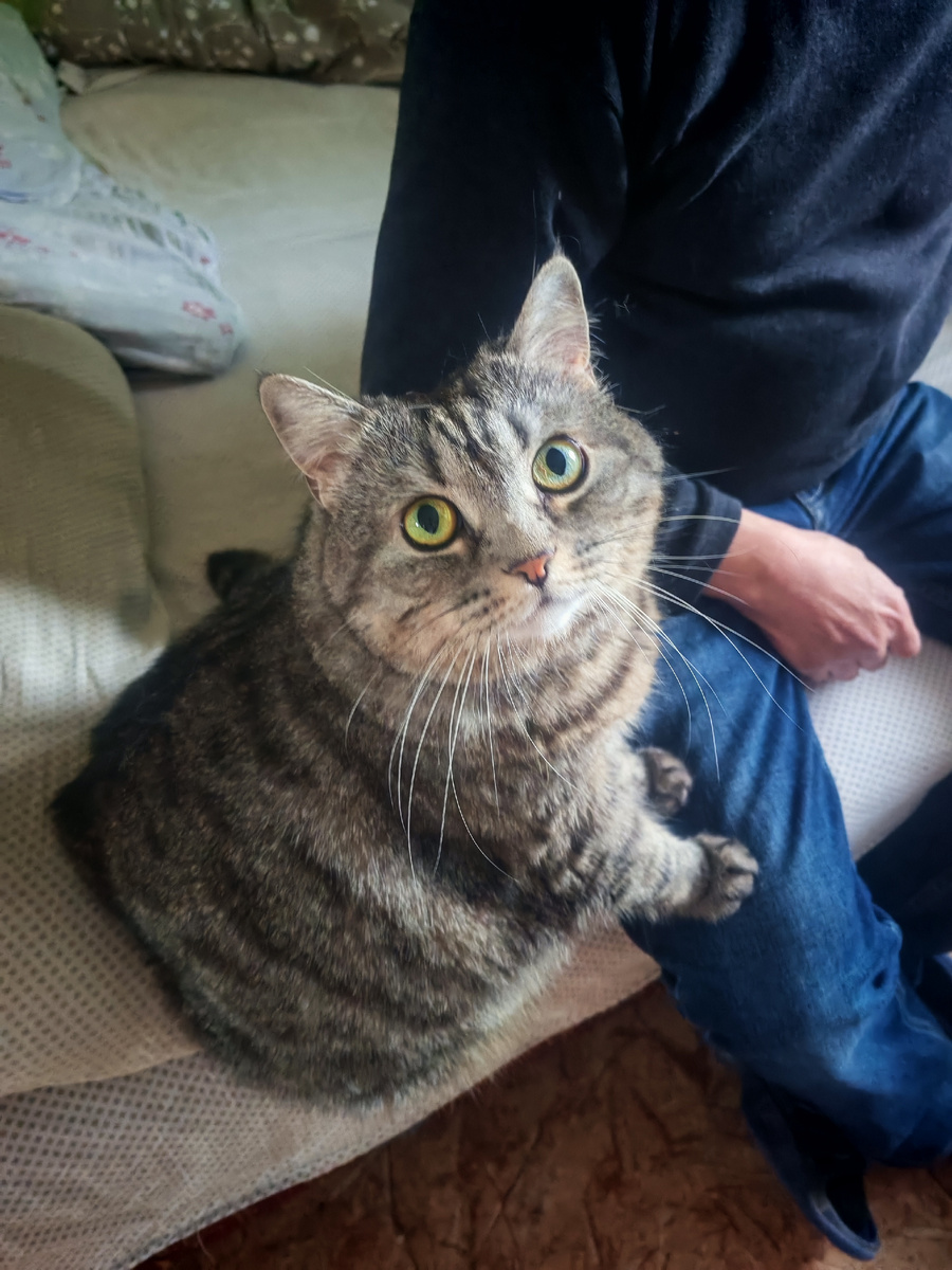 "Что смотришь? Папа только мой!" 