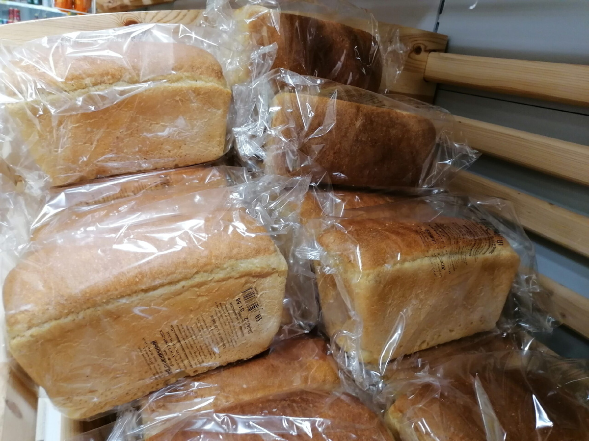 Фото: "Вечерний Ставрополь"