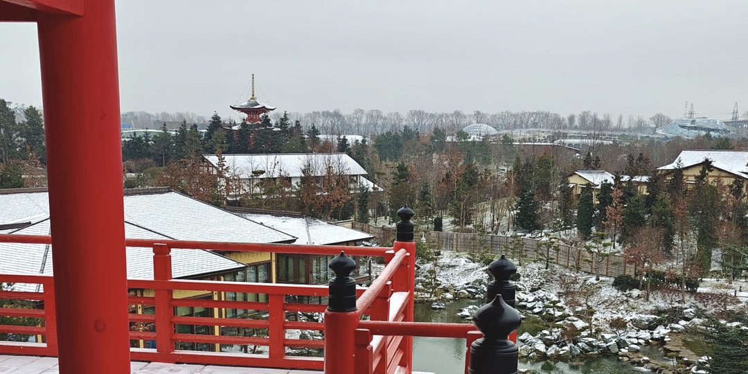 Японский сад в парке Галицкого: остров тишины в сердце города