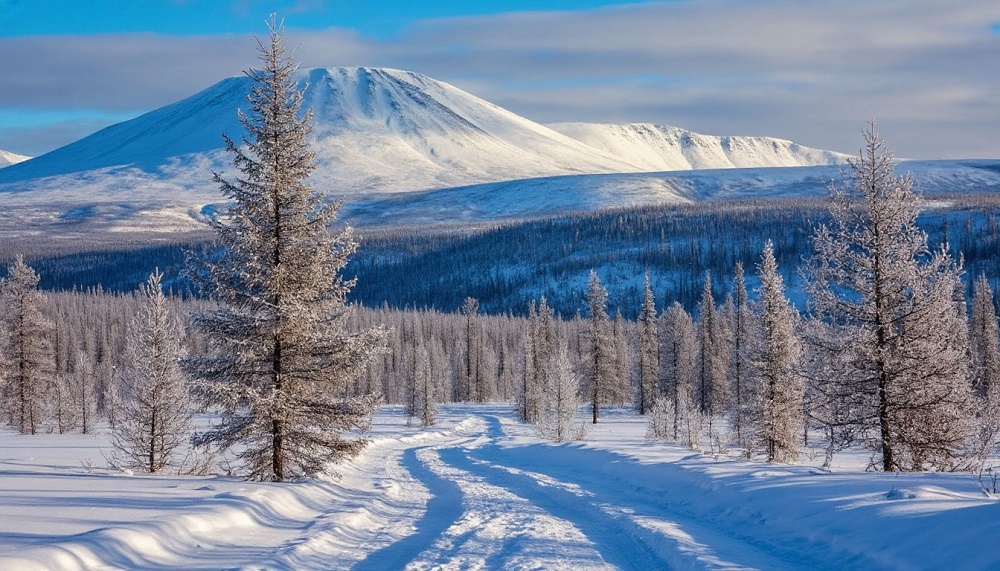    Изображение сгенерировано нейросетью Шедеврум