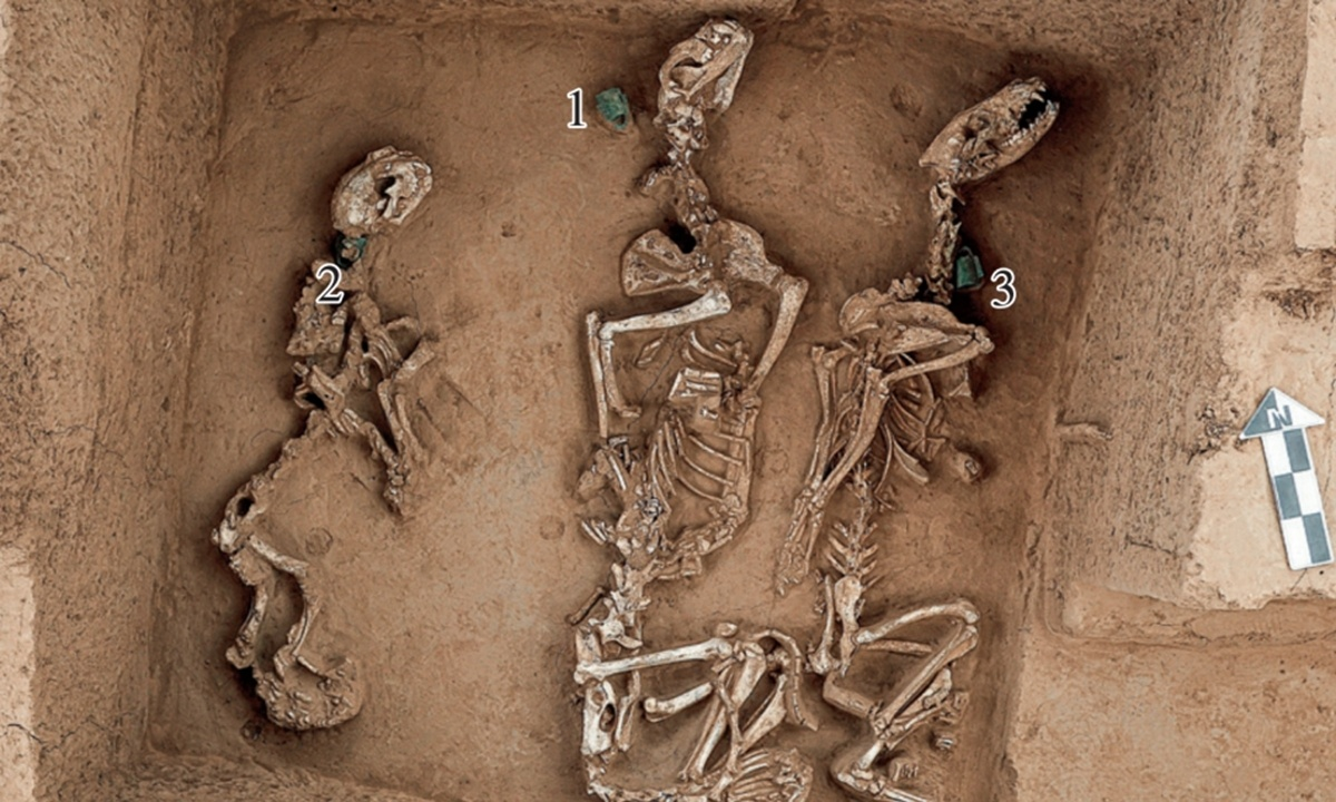 Источник: sb.by