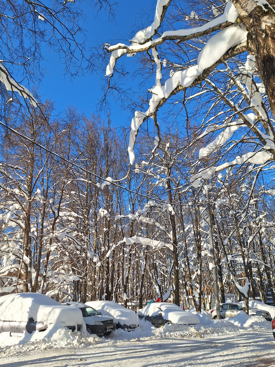 Зимушка-зима. Фото - собственность автора канала "ТАК НАДО".