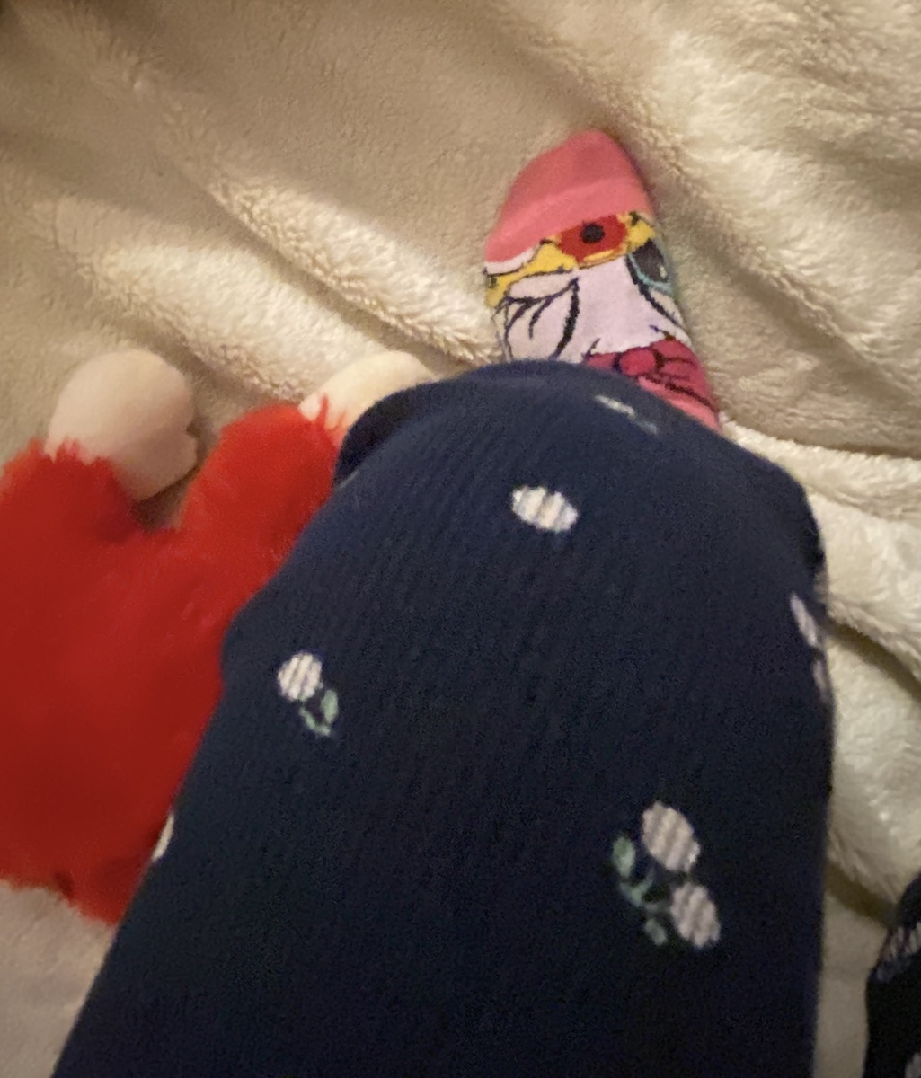 Лелькина нога. Внучка, когда отбирает у меня телефон, всегда много таких фото делает, не успеваю удалять. Носок есть