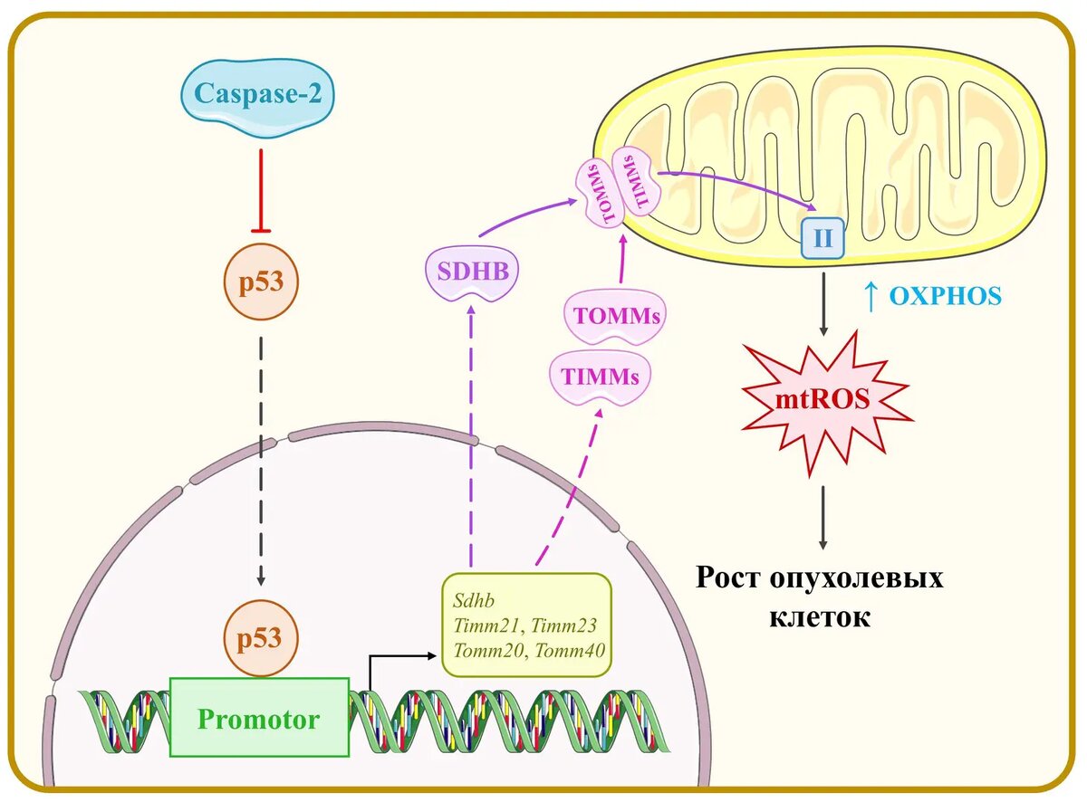    Фото: indicator.ru Анна Тихомирова
