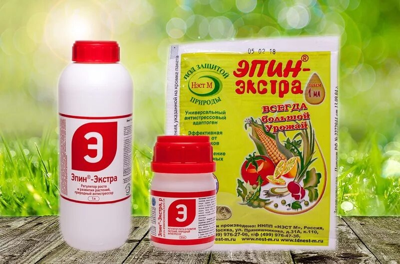 Эпин-Экстра