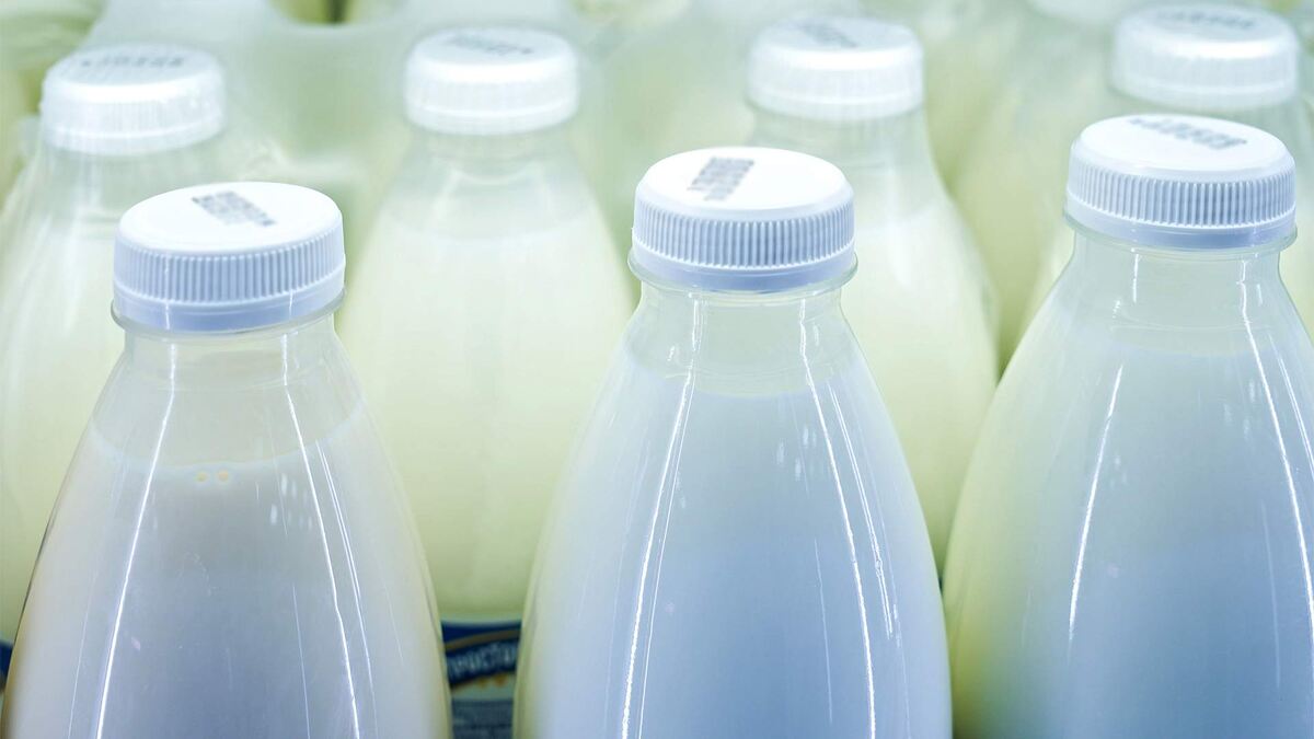 Фото: ИЗВЕСТИЯ/Анна Селина