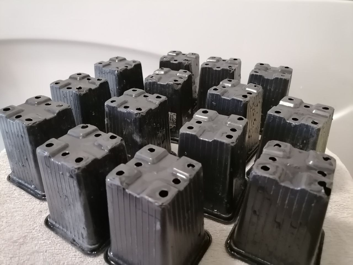 Люблю эти горшочки для рассады за хорошие дренажные отверстия на рельефном дне: отверстия не перекываются поддоном. У меня еще и поддоны с рифленым дном - вообще замечательно 👍 Нет застоя воды и закисания грнута с корнями 