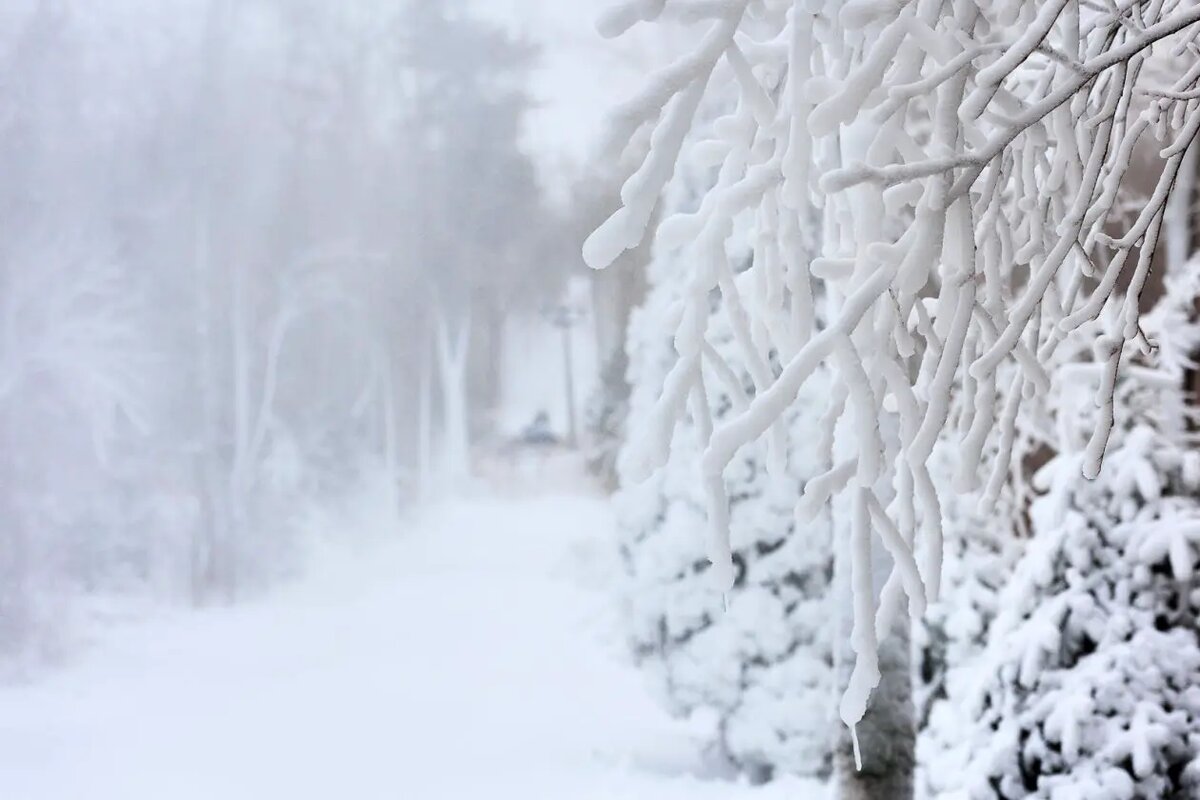    Фото: primamedia.ru Олеся Шмелева