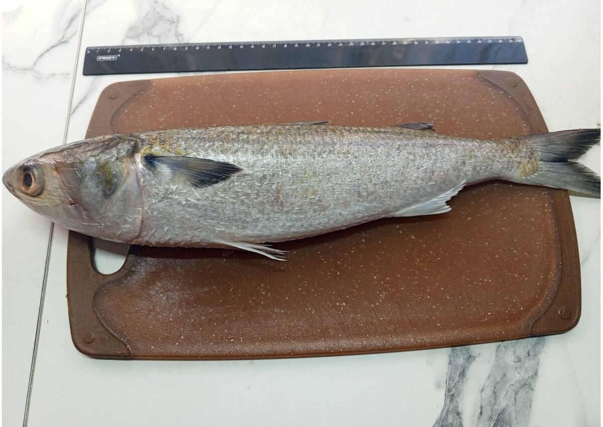 Это уже в очищенном состоянии