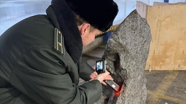    © Федеральная таможенная служба