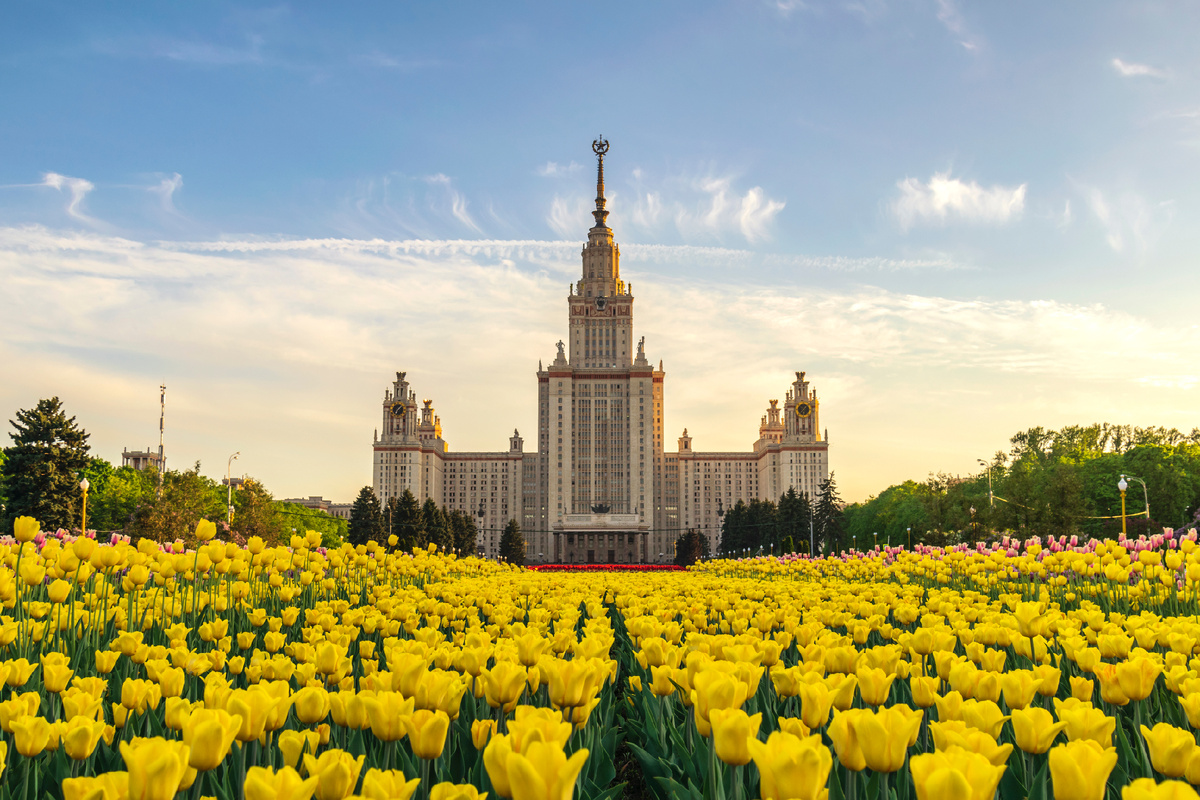 Весенние тюльпаны перед Московским государственным университетом им. М. В. Ломоносова. Источник: Shutterstock