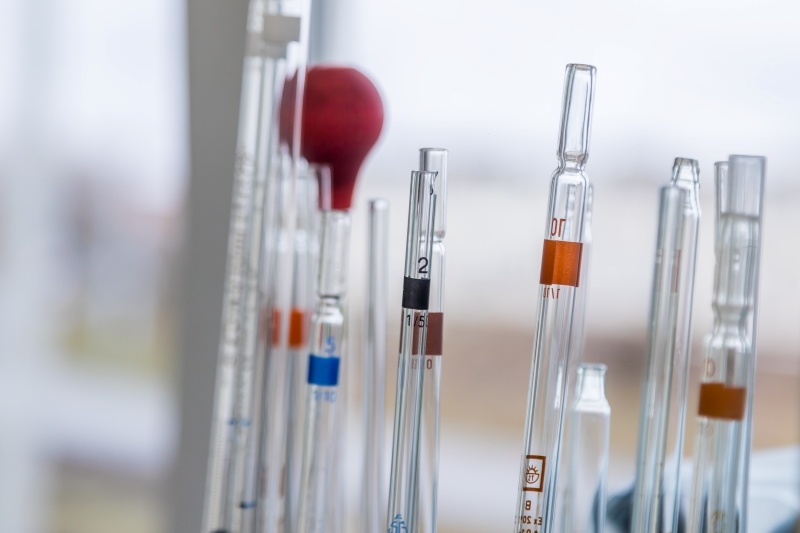    © Фото: архив VN.ru